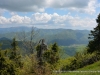 DSC_3301