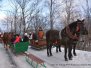 Kulig 14.01.2017 Węgierska Górka