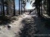 IMAG0556