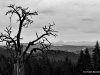 IMG-20250210-WA0008
