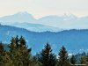 IMG-20250210-WA0009