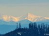 IMG-20250210-WA0010