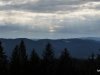 IMG-20250210-WA0011
