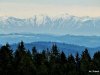 IMG-20250210-WA0012