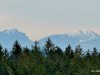 IMG-20250210-WA0013