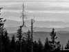 IMG-20250210-WA0015