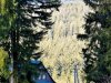 IMG-20250210-WA0024