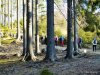 IMG-20250210-WA0030