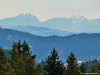IMG-20250210-WA0033