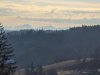 IMG-20250211-WA0007