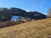 IMG-20250211-WA0008