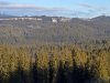 IMG-20250211-WA0011