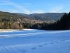 IMG-20250211-WA0020