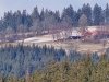 IMG-20250211-WA0021