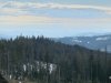 IMG-20250211-WA0032