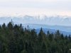 IMG-20250211-WA0047