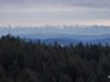 IMG-20250211-WA0052