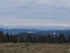 IMG-20250211-WA0056