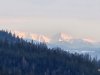 IMG-20250211-WA0058