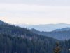 IMG-20250211-WA0059
