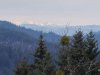 IMG-20250211-WA0065