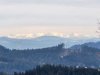 IMG-20250211-WA0067