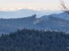 IMG-20250211-WA0068