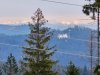 IMG-20250211-WA0091