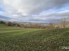 IMG-20241118-WA0081