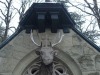 IMG-20211213-WA0006
