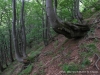 SAM_6116