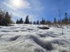 IMG-20250620-WA0009