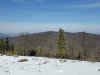 IMG-20250620-WA0016