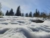 IMG-20250620-WA0019