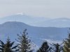 IMG-20250620-WA0041