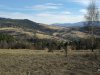 IMG-20250620-WA0058