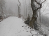 DSCN0823