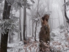 DSCN0826