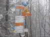 DSCN0851