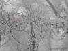 DSCN0864