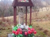 DSCN0873