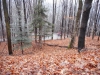 DSCN0876