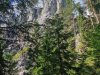 IMG-20230724-WA0008