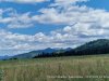 IMG-20230724-WA0011