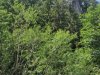 IMG-20230724-WA0016