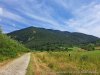IMG-20230726-WA0001