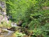 IMG-20230726-WA0009