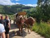 IMG-20230726-WA0021