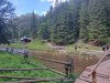IMG-20230726-WA0032
