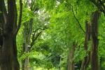 Jura 21.06.2020